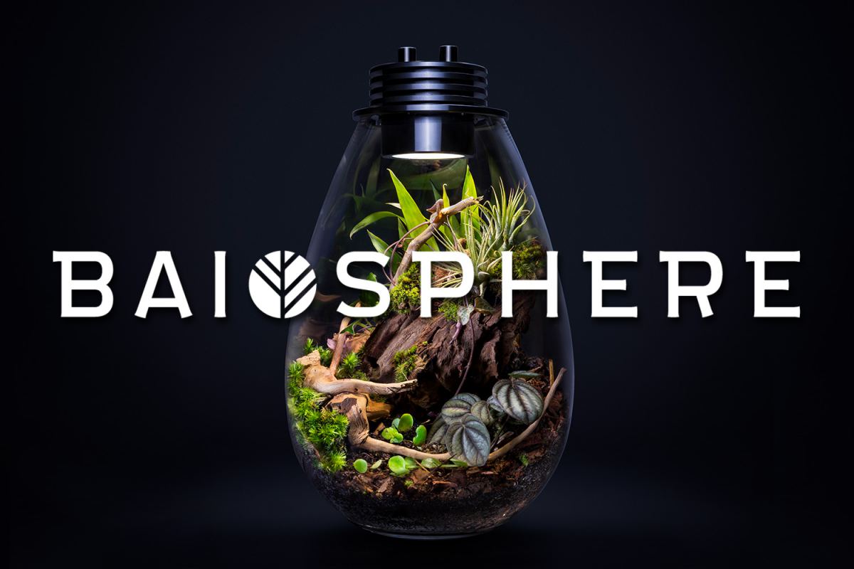 Baiosphere Online Shop Bilingual Multilinguale Site multilanguage wordpress site